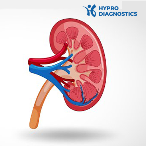 Renal Function Test Shiv Healthcare Services Pvt Ltd