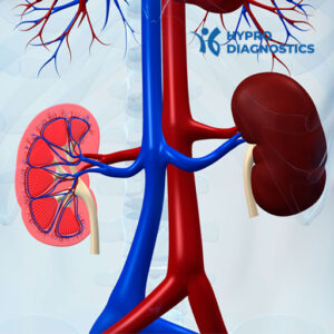 KIDNEY FUNCTION TEST