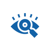 vision icon